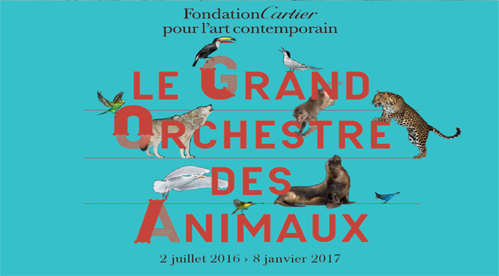 Le Grand Orchestre des Animaux - Fondation Cartier Le Grand Orchestre des Animaux - Fondation Cartier