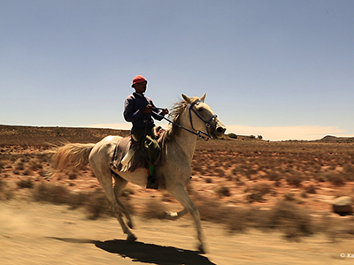 Karoo Cowboy Karoo Cowboy
