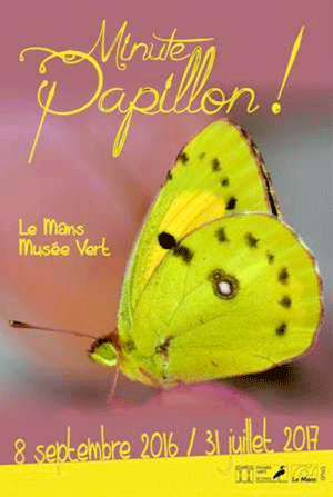 Exposition "Minute Papillon !" Le Mans Exposition "Minute Papillon !" Le Mans