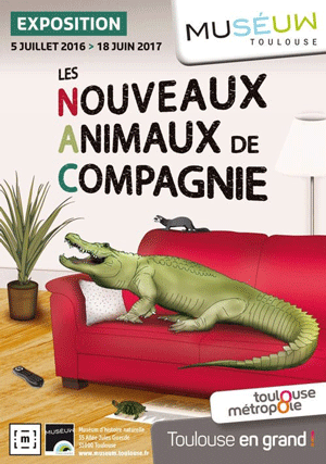 Exposition "Les nouveaux animaux de compagnie" au muséum de Toulouse Exposition "Les nouveaux animaux de compagnie" au muséum de Toulouse
