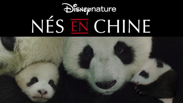 Nés en Chine - film Disneynature Nés en Chine - film Disneynature