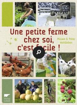 Si la pompe le membre sexuel augmente