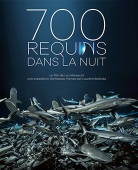 700 requins dans la nuit 700 requins dans la nuit