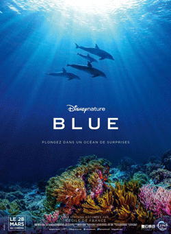 affiche-blue.gif affiche-blue.gif