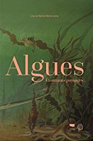 Algues, étonnants paysages Algues, étonnants paysages