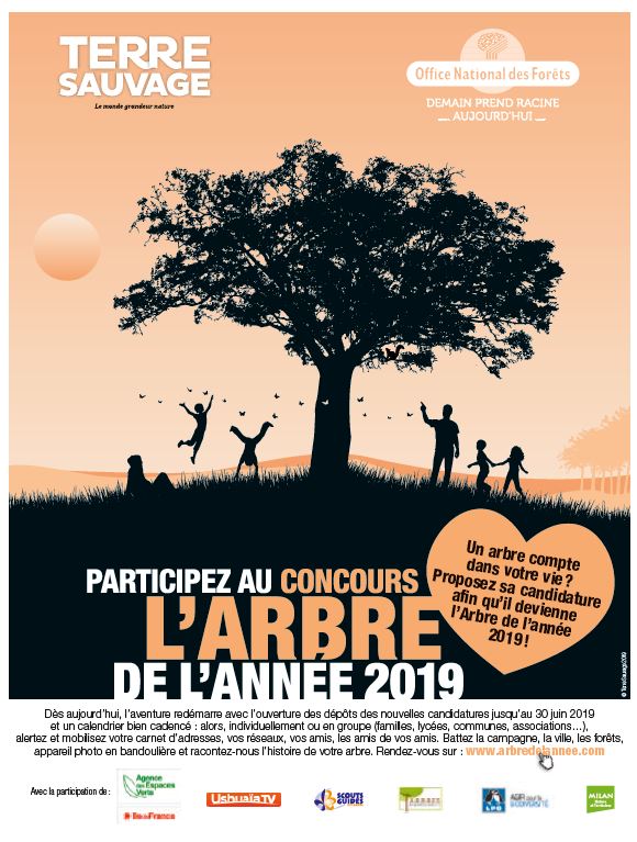 Concours Arbre de l'année 2019 Concours Arbre de l'année 2019
