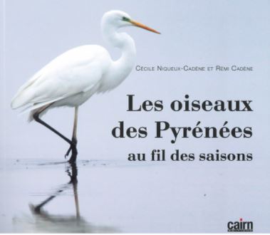 Les oiseaux des Pyrénées au fil des saisons Les oiseaux des Pyrénées au fil des saisons