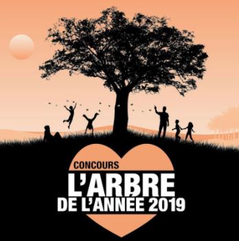 Concours Arbre de l'Année 2019 Concours Arbre de l'Année 2019