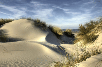 dunes-oleron.gif dunes-oleron.gif