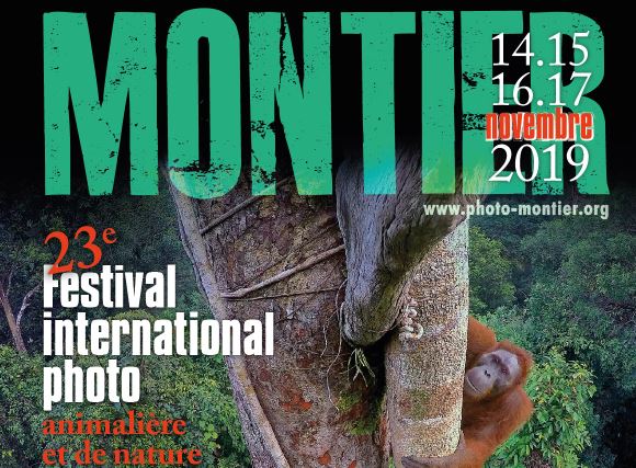 Festival Photo Montier 2019 Festival Photo Montier 2019