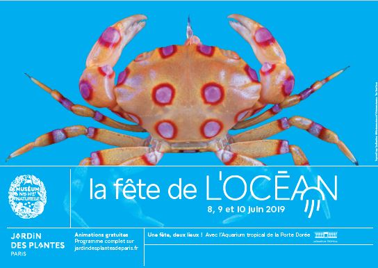 Fête de l'océan au Muséum Fête de l'océan au Muséum