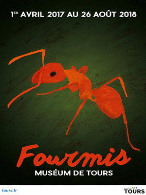 Fourmis - expo museum de Tours Fourmis - expo museum de Tours