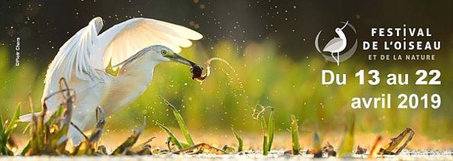 Festival de l'Oiseau et de la Nature 2019 Festival de l'Oiseau et de la Nature 2019