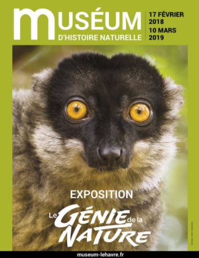 Le génie de la nature Le génie de la nature