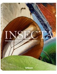 Insecta Insecta
