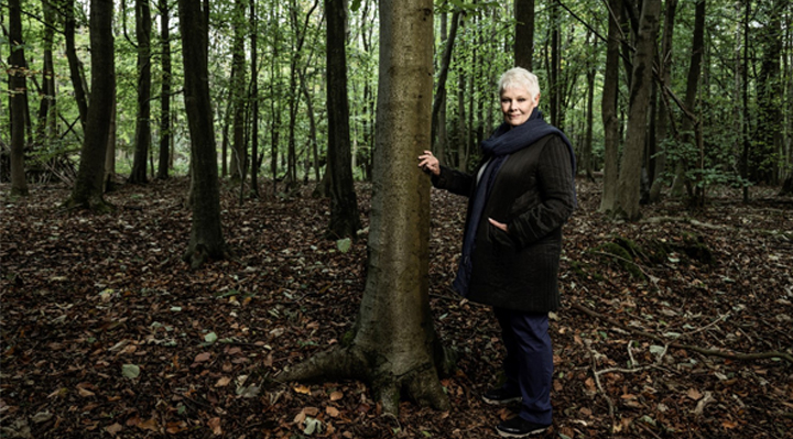 Judi Dench - Une passion pour les arbres Judi Dench - Une passion pour les arbres