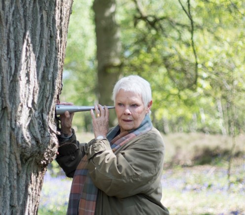 Judi Dench - Une passion pour les arbres Judi Dench - Une passion pour les arbres