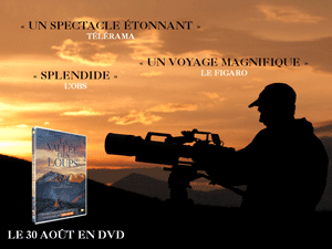 La vallée des loups de Jean-Michel Bertrand - en DVD Pathé La vallée des loups de Jean-Michel Bertrand - en DVD Pathé