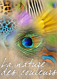 nature_des_couleurs.jpg nature_des_couleurs.jpg