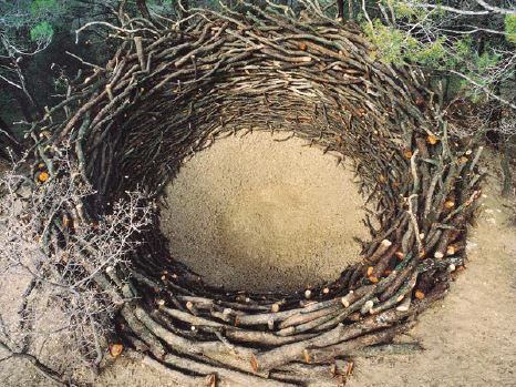Nils Udo - Black Bamboo - Fondation EDF Nils Udo - Black Bamboo - Fondation EDF