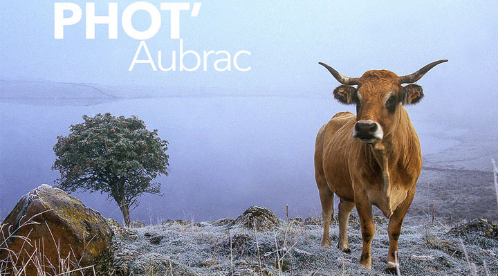 Phot'Aubrac.jpg Phot'Aubrac.jpg