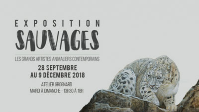 Exposition Sauvages Exposition Sauvages