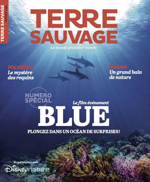 Terre sauvage avril 2018 Terre sauvage avril 2018