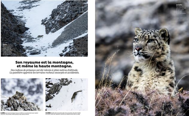Terre Sauvage Novembre 2019 Terre Sauvage Novembre 2019