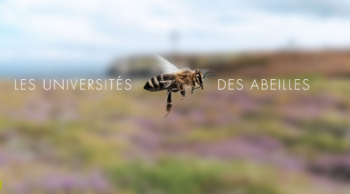 Les Universités des Abeilles Les Universités des Abeilles