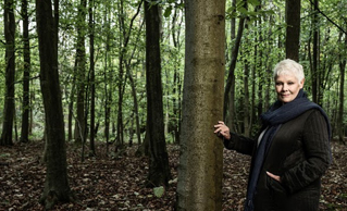Judi Dench une passion pour les arbres ; en mars sur Ushuaïa TV Judi Dench une passion pour les arbres ; en mars sur Ushuaïa TV