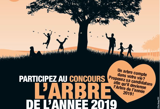 Concours Arbre de l'Année 2019 Concours Arbre de l'Année 2019