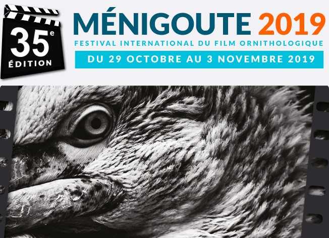FIFO de Ménigoute 2019 FIFO de Ménigoute 2019