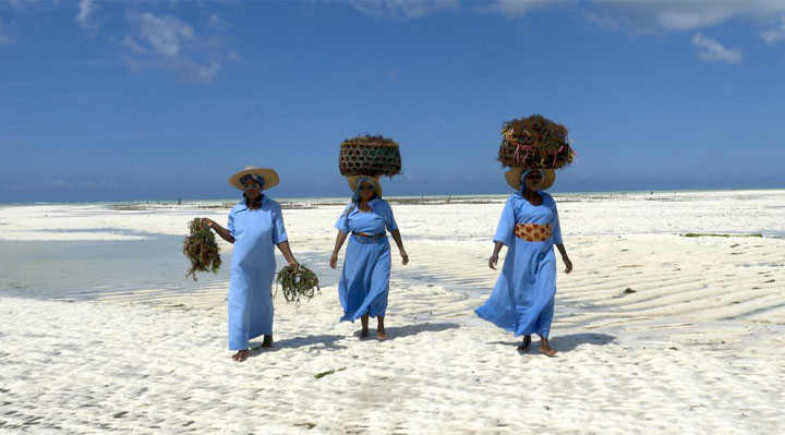 Zanzibar au féminin Zanzibar au féminin