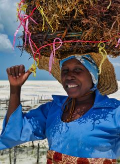 Zanzibar au féminin Zanzibar au féminin